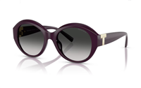 Sunglasses Tiffany Woman 0TF4227BU53  84273C